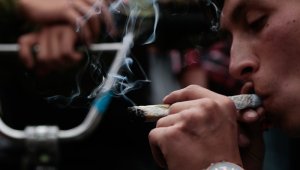 La marihuana es la sustancia ilícita más consumida en el país. Colprensa