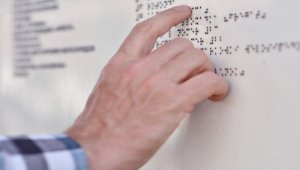 Se pueden adquirir varias versiones del programa por un precio que va desde 2.500 a 4.500 dólares. Internet