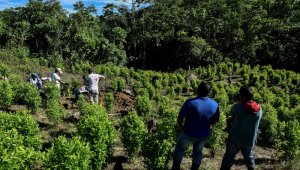 Luis Robayo / La Opinión 