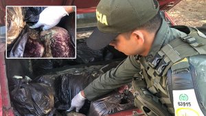 En un vehículo que venía de territorio venezolano. Cortesía