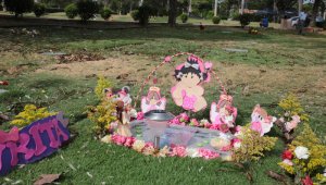 César Obando / La Opinión 