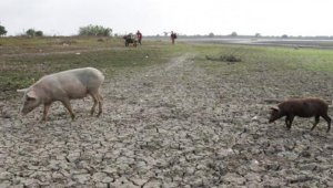 Más de la mitad de los municipios de los departamentos La Guajira, Magdalena, Cesar, Tolima, Bolívar, Quindío, Santander, San Andrés y Providencia y Valle del Cauca se encuentran en riesgo de sufrir desabastecimiento de agua. Colprensa