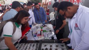 Los estudiantes también participaron en actividades lúdicas y recreativas.
 Cortesía