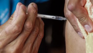 Los virus de la influenza son patógenos que año con año causan aproximadamente 600.000 muertes en todo el mundo, según datos la OMS. Archivo