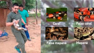 Giancarlo Bastos, médico veterinario y presidente de la Fundación Catatumbo. Cortesía