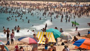 Numerosos habitantes de Sídney invadieron las playas de la ciudad, buscando refrescarse.  AFP