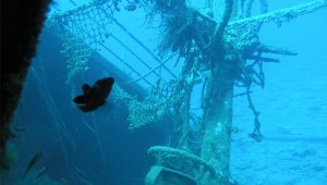 Registro del Galeón San José hundido cerca de Cartagena.
 Internet