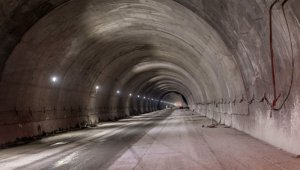 En ese sentido, la ONG explicó que para el caso del Túnel de la Línea esa condición de urgencia manifiesta no operaría ya que el proyecto no está prestando un servicio porque aún se sigue construyendo. Colprensa