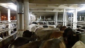 ‘360 Grados, Cobertura Total de Riesgos y Financiamiento’. Colprensa