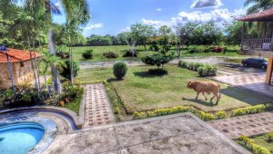 La Policía trabaja para dar con el paradero de los animales.  @TinoasprillaH