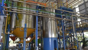 Archivo / La Opinión