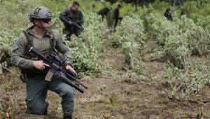 También resultó herido un civil del grupo manual de erradicación.  Colprensa