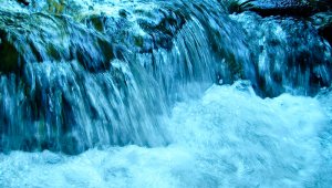 Estudiar la resistencia a los antibióticos en el medio ambiente es importante porque las bacterias y los genes de resistencia presentes en un ecosistema pueden afectar a otro ecosistema. Internet