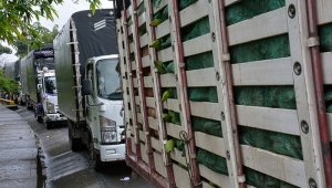 350.000 pasajeros no se han podido movilizar. Colprensa