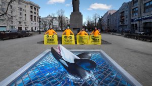 Más de 1,4 millones de personas, entre ellos el actor Leonardo DiCaprio, firmaron una petición en el sitio change.org para pedir la liberación en mar abierto de estas 11 orcas y 93 belugas. EFE