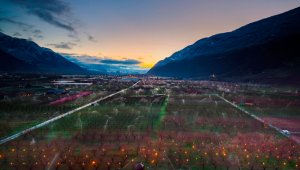 Su pérdida afectaría a la fauna y flora de la zona, cuya fuente de agua principal son los glaciares, así como a la agricultura y la hidroelectricidad, la cual es especialmente importante en los períodos cálidos y secos. EFE