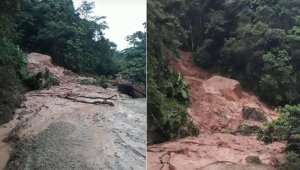 Cortesía para La Opinión