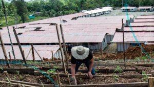 Los periodistas que desde La Opinión adelantan esta investigación son Lucy Araque, Jhon Jairo Jácome y Helena Sánchez, quien participó del proyecto en su fase inicial. Cortesía