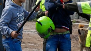 La Policía Metropolitana de Cúcuta (Mecuc) reportó que atendió a través de la línea 123, más de 2.700 llamadas. Archivo