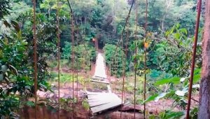 La Corte constató que quienes vivían en el extremo noreste debían cruzar un río caudaloso habitado por caimanes, pues el 'Puente Hamaca', que utilizaban para llegar a la escuela, era inservible. Archivo