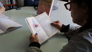 De acuerdo con sus hallazgos, publicados en la revista 'Journal of Research in Reading'. Colprensa