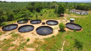 Contaron con acompañamiento técnico, productivo, social, empresarial, organizacional y financiero. Cortesía