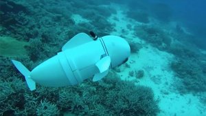 Los investigadores crearon un sistema vascular con baterías de flujo interconectadas e integradas en un robot en forma de pez Pterois -una especie presente en los océanos Índico y Pacífico-. EFE