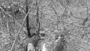 Los uniformados encontraron el cuerpo todavía ardiendo en llamas. Cortesía