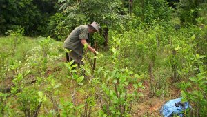 Archivo / La Opinón