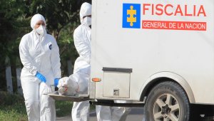 Los equipos están conformados por antropólogos, odontólogos, genetistas y técnicos en criminalística. Archivo Colprensa