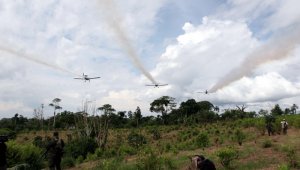 Los magistrados reiteraron que es imprescindible que el Estado consulte con las comunidades ubicadas en las zonas de fumigación aérea. Colprensa