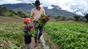 Para vender a este tipo de superficies, los agricultores deben cumplir con ciertos requisitos, el más importante, la calidad. Archivo La Opinión