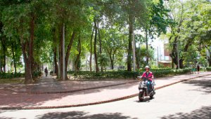 Luis Alfredo Estévez