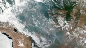 Foto: NASA Worldview, Earth Observing System Data and Information System (EOSDIS). Caption: Lynn Jenner.