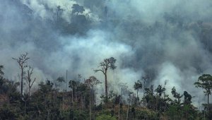 Según la oenegé Greenpeace, el aumento excesivo de la deforestación para la cría de ganado y la siembra de soja, productos demandados por la países de la Unión Europea y China, contribuyen a los incendios que se han vivido en los últimos días. AFP