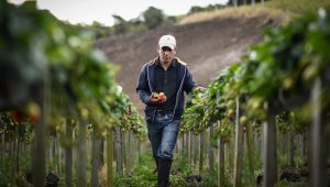 Ahora bien, lo que expuso la Agencia es que “el proyecto fue radicado en la Secretaria General de la Agencia y el 3 de septiembre de 2019 se envió al Fondo Colombia en Paz (FCP), con la autorización del desembolso. Colprensa