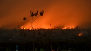 Un estudio estadounidense indicó que los incendios de 2015 pueden haber causado más de 100.000 muertes prematuras debido a enfermedades respiratorias y de otros tipos. El líder indonesio Joko Widodo advirtió el mes pasado que los funcionarios serían despedidos si no lograban acabar con los incendios forestales. AFP