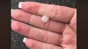 Unos de los sectores en donde vecinos registraron con sus celulares la granizada fueron La Floresta y la avenida Los Libertadores. Captura de video