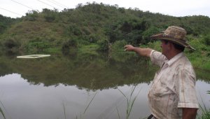 Al contrario de lo que se piensa, los estudios del Cenipalma señalan que la palma de aceite requiere de 1,15 milímetros de agua por hectárea, mientras que otros productos agrícolas necesitan dos milímetros por hectárea.
Archivo