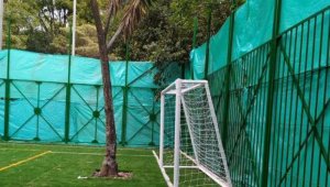 Son dos árboles los que están plantados, justamente, delante de las porterías. Tomada de Twitter Cynthia Vargas