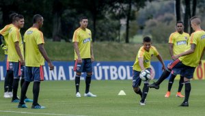 El torneo se llevará a cabo del 18 de enero al 9 de febrero del 2020 y la selección Colombia ya está en fase de preparación.
Archivo