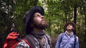 Durante tres décadas, ha recolectado casi el 4% de las 600.000 muestras disecadas que reúne el herbario más grande del país y el cuarto en Sudamérica. @MAMmedellin