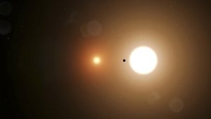 El planeta, llamado TOI 700 d y potencialmente habitable, está relativamente cerca de la Tierra. AFP