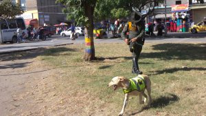 El parque Lineal, en la avenida sexta entre calles 4 y 6 del centro, es el segundo punto priorizado por el alcalde Jairo Yáñez, quien lo visitará mañana y el lunes para hacer labores de embellecimiento e inculcar la buena cultura. Alfredo Estévez