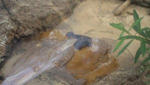 Imagen referencial. Colprensa Archivo