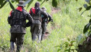 Diversos sectores políticos alzaron su voz contra los recientes atentados del Eln. Archivo