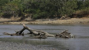El río Cauca es uno de los principales afluentes del país afectado por la actual temporada seca. Colprensa