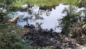 Ecopetrol y Cenir rechazaron las acciones ilícitas. Archivo