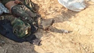 En Táchira hay una fuerte presencia de grupos armados que durante 2019 fueron responsables de más de 800 muertes en la frontera. Archivo