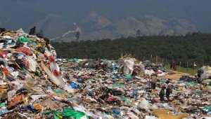 En el sitio pululan cientos de gallinazos, más de 200 perros, moscas y demás vectores que ocasionan incomodidades ambientales y sanitarias a los vecinos y quienes transitan por la carretera Central del Norte.
Roberto Ospino